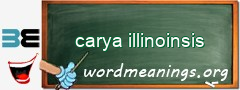 WordMeaning blackboard for carya illinoinsis